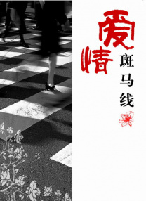 《年轻护士4》中文字幕